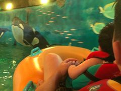 -青岛东方影都融创水世界