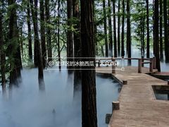 -东湖落雁景区