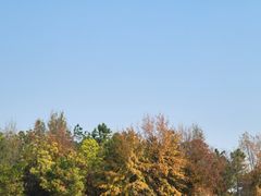 -苏州太湖国际会议中心