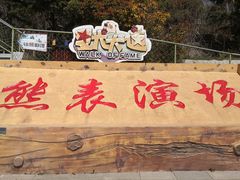 -东方熊牧场
