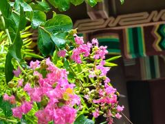 -济南大明湖景区