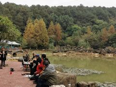 -铁山坪森林公园