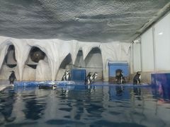 -太平洋海底世界博览馆·展览厅