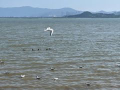 -深圳湾公园(南山区)