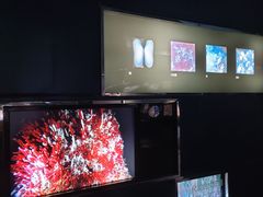 -同济大学四平路校区深海探索馆