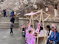 -樱花山风景区