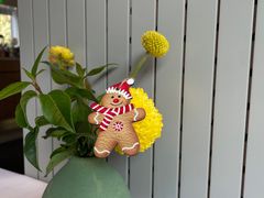 -蝶舍·MAISON PAPILLON