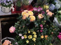 -循礼门鲜花花市(武汉循礼门店)