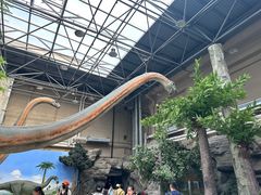 -国家自然博物馆