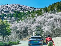 -妙峰山风景名胜区