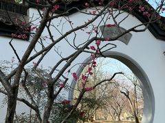 -无锡梅园公园