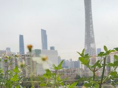 -小茶闲舍·观景商务茶馆(广州塔店)