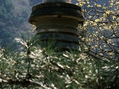 -潭柘寺景区