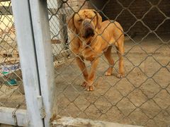 -意大利农场度假村