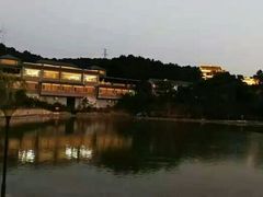 -铁山坪森林公园