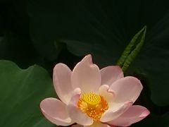 -重元寺