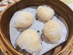 晶莹鲜虾饺-添好运点心专门店(北角店)