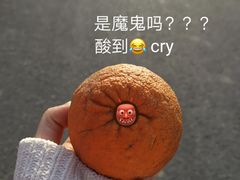 -米果果小镇