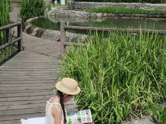 -成都市活水公园