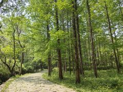 -小格里自然风景区
