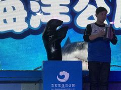 -石家庄海洋公园