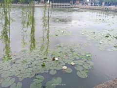 -锦溪古镇