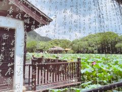 -兰亭风景区