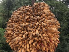 -梁家河村红色旅游区