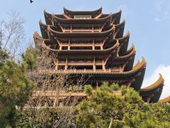 -小秋水饺(大成路总店)