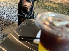 -J Create城市露营咖啡·简餐·宠物(上海动物园店)