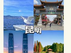 -西双版纳原始森林公园