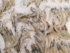 -伊藤洋华堂(温江店)