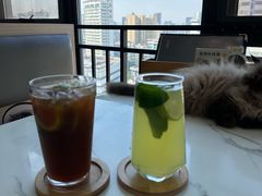 -喵园·猫主题咖啡厅·撸猫·猫咖(国贸店)