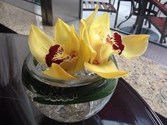 -西点坊(浦东香格里拉店)