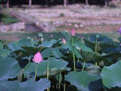 -滆湖低碳生态公园
