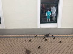 -Patagonia Chocolates(皇后镇店)