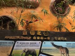 -长鹿旅游休博园
