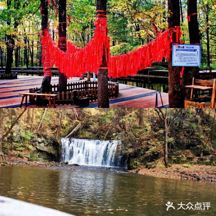吊水壶国家森林公园图片