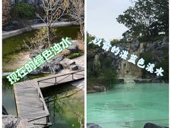 -上海吴淞炮台湾国家湿地公园