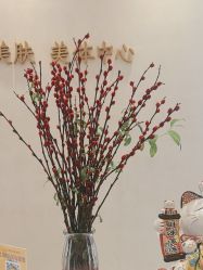 -佳妍惠美科技美肤美体中心