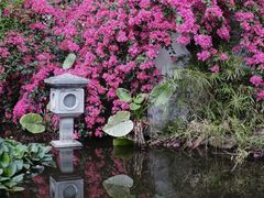 -深圳国际园林花卉博览园