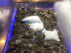 -诱货海鲜自助火锅(爱琴海购物公园东百店)