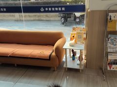 -申普宠物医院·眼科·心内科·影像科(普陀分院)