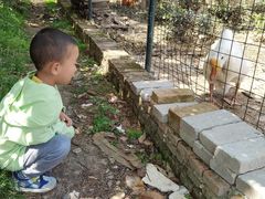 -太湖好灶头土菜馆(石公路店)