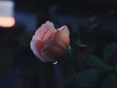 -阿姨奶茶专卖(舌涧道杭州惠民路创始店)