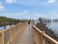 -洱海月湿地公园