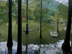 -深圳仙湖植物园