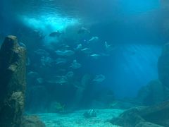 -福州罗源湾海洋世界旅游区