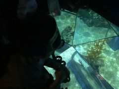-暹罗海洋世界
