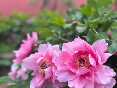 -北京市劳动人民文化宫